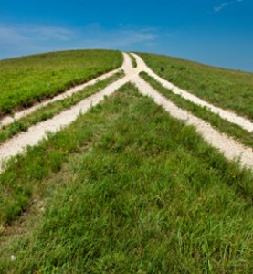 forked road- Nosql image